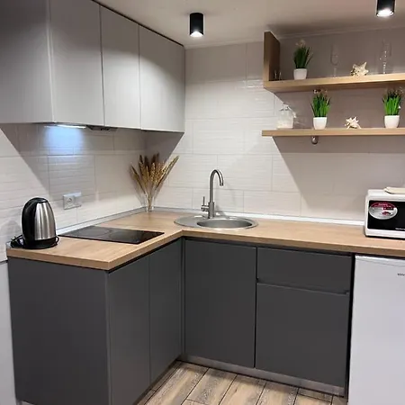 на троицкой Appartement Odessa
